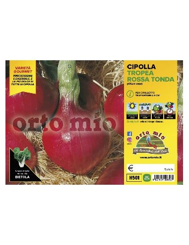 CIPOLLA TROPEA ROSSA TONDA ORTO MIO CONTENITORE
