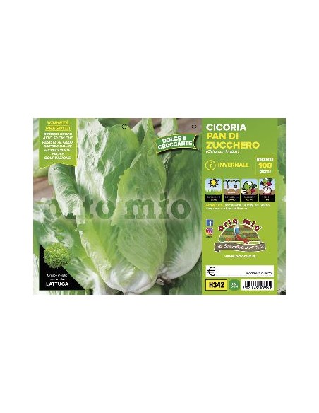 CICORIE E RADICCHIO PAN DI ZUCCHERO INVERNALE ORTO MIO CONTENITORE