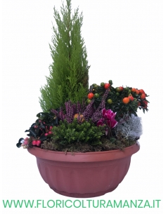 COMPOSIZIONE AUTUNNALE 15
