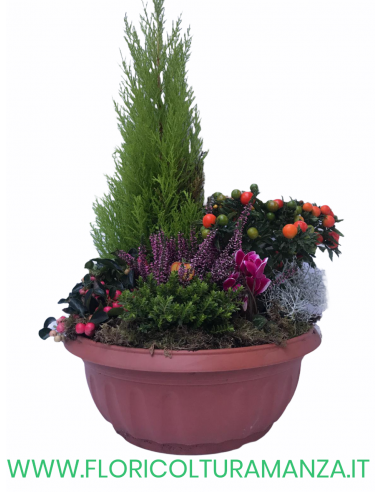COMPOSIZIONE AUTUNNALE 15