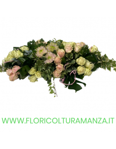 CUSCINO