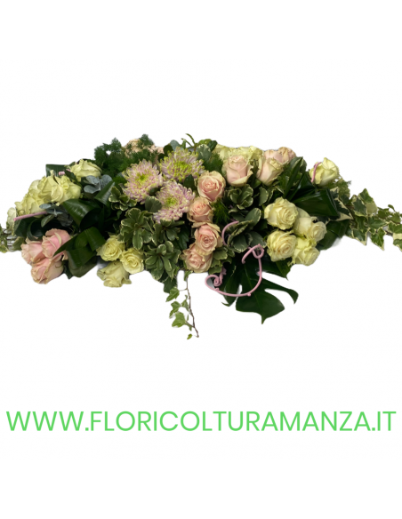 CUSCINO