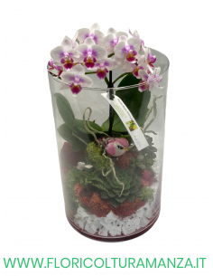 VASO IN VETRO 3
