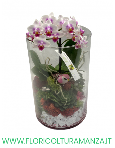 VASO IN VETRO 3