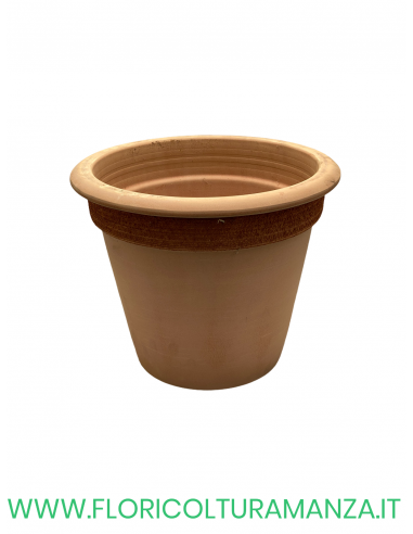 VASO  CAMELIA GRAFFIATO CM 32