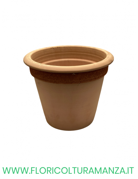 VASO  CAMELIA GRAFFIATO CM 32