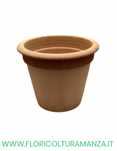 VASO  CAMELIA GRAFFIATO CM 37