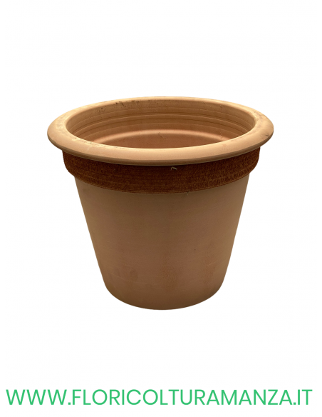 VASO  CAMELIA GRAFFIATO CM 37
