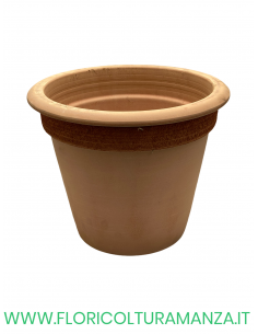 VASO COTTO CAMELIA GRAFFIATO CM 42