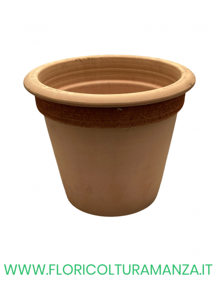 VASO COTTO CAMELIA GRAFFIATO CM 42