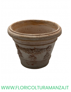 VASO COTTO LIBERTY FESTONATO CM 20