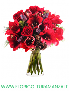 BOUQUET NATALIZIO N1
