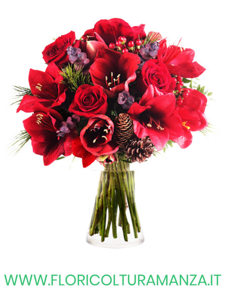 BOUQUET NATALIZIO N1