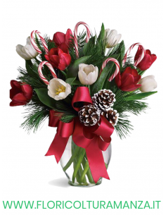 BOUQUET NATALIZIO N6
