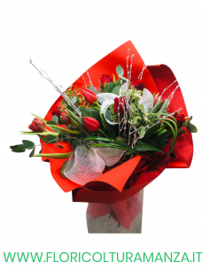 BOUQUET NATALIZIO N12