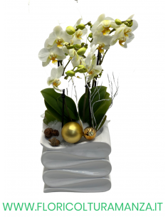 ORCHIDEE CON VASO QUADRATO IN CERAMICA