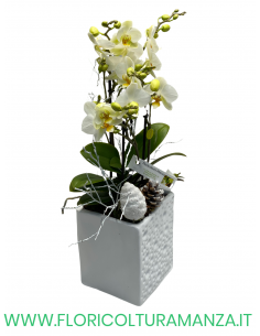 ORCHIDEE CON VASO RICAMATO IN CERAMICA