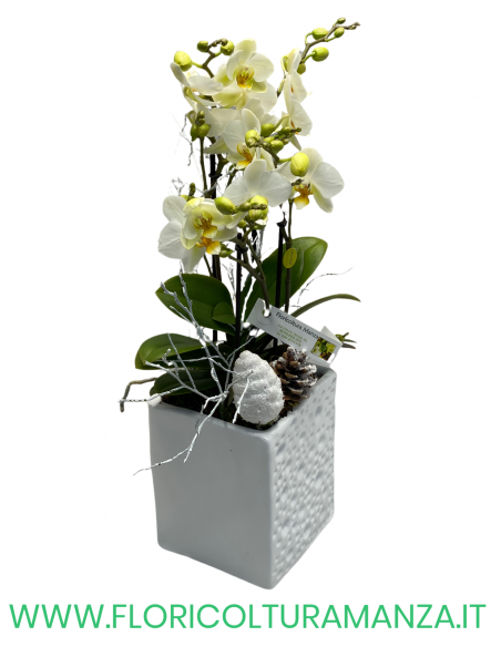 ORCHIDEE CON VASO RICAMATO IN CERAMICA