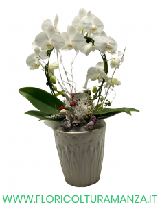 ORCHIDEA BIANCA CON VASO IN CERAMICA