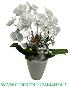 ORCHIDEA CON VASO LISCIO IN CERAMICA