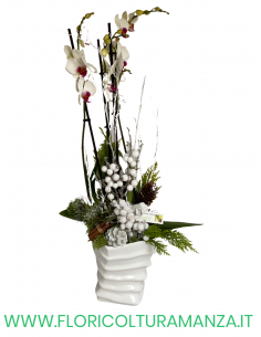 ORCHIDEA NATALIZIA CON VASO IN CERAMICA