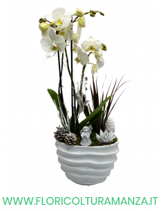 ORCHIDEE CON VASO IN CERAMICA ONDULATO