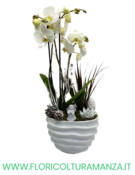 ORCHIDEE CON VASO IN CERAMICA ONDULATO