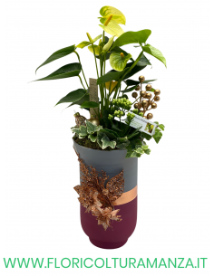ANTHURIUM CON VASO IN VETRO