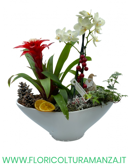 COMPOSIZIONE NATALIZIA CON VASO IN CERAMICA C2