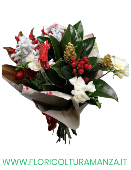 BOUQUET NATALIZIO N16