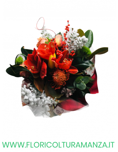 BOUQUET NATALIZIO N18