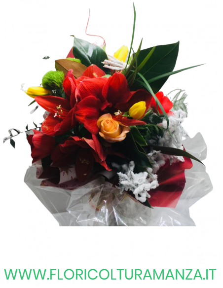 BOUQUET NATALIZIO N19