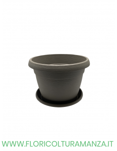 VASO COLORATO COMPLETO CM 22
