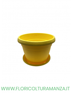 VASO COLORATO COMPLETO CM 22 2