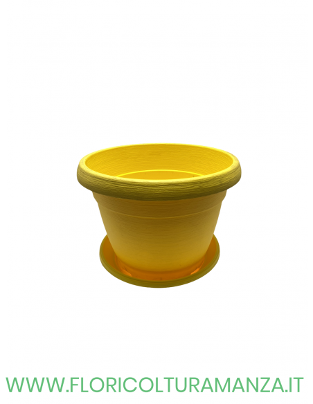 VASO COLORATO COMPLETO CM 22