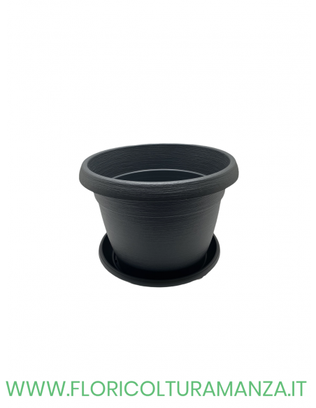VASO COLORATO COMPLETO CM 22