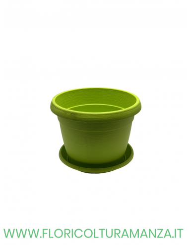 VASO COLORATO COMPLETO CM 22