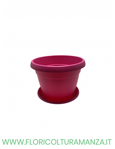 VASO COLORATO COMPLETO CM 22