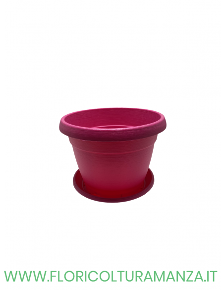 VASO COLORATO COMPLETO CM 22