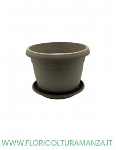 VASO COLORATO COMPLETO CM 25