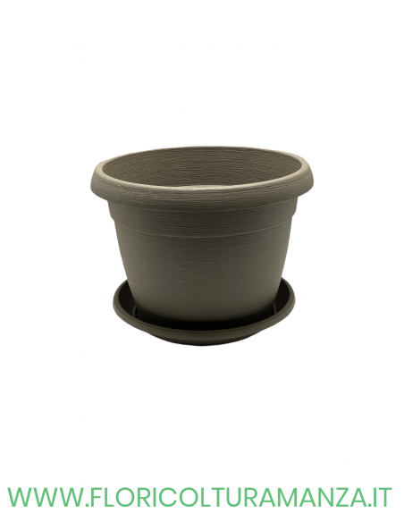 VASO COLORATO COMPLETO CM 25
