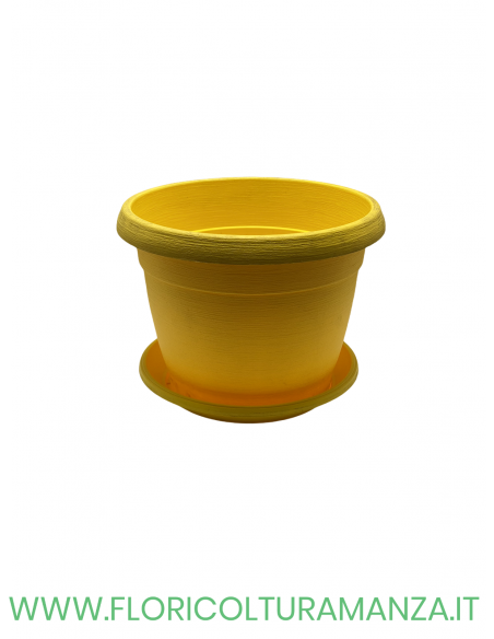 VASO COLORATO COMPLETO CM 25