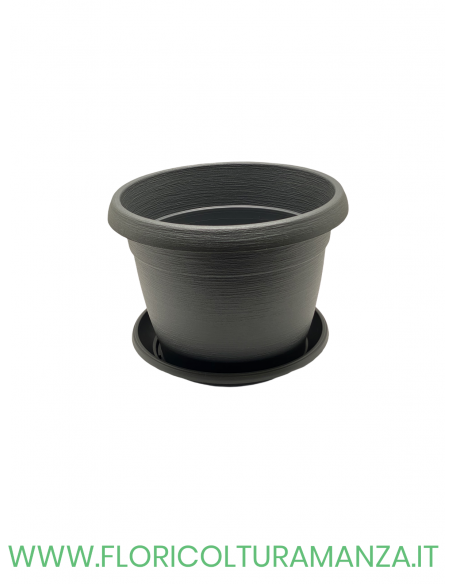 VASO COLORATO COMPLETO CM 25
