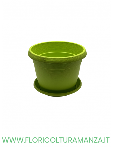 VASO COLORATO COMPLETO CM 25