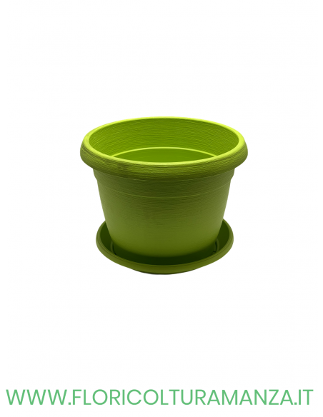 VASO COLORATO COMPLETO CM 25