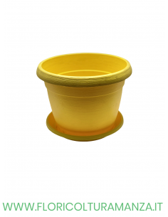 VASO COLORATO COMPLETO CM 30 2