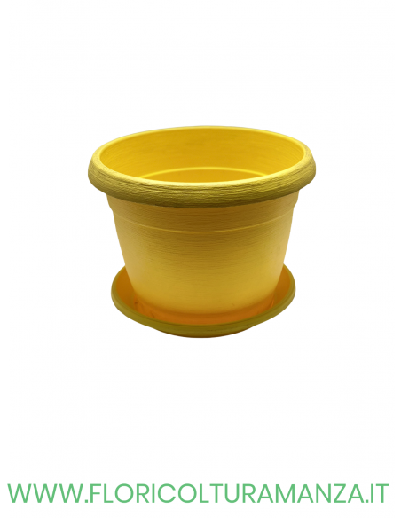 VASO COLORATO COMPLETO CM 30