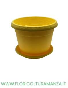 VASO COLORATO COMPLETO CM 35 2
