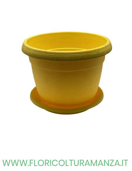 VASO COLORATO COMPLETO CM 35