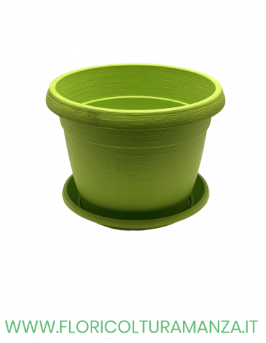 VASO COLORATO COMPLETO CM 35